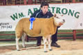 Lot 33